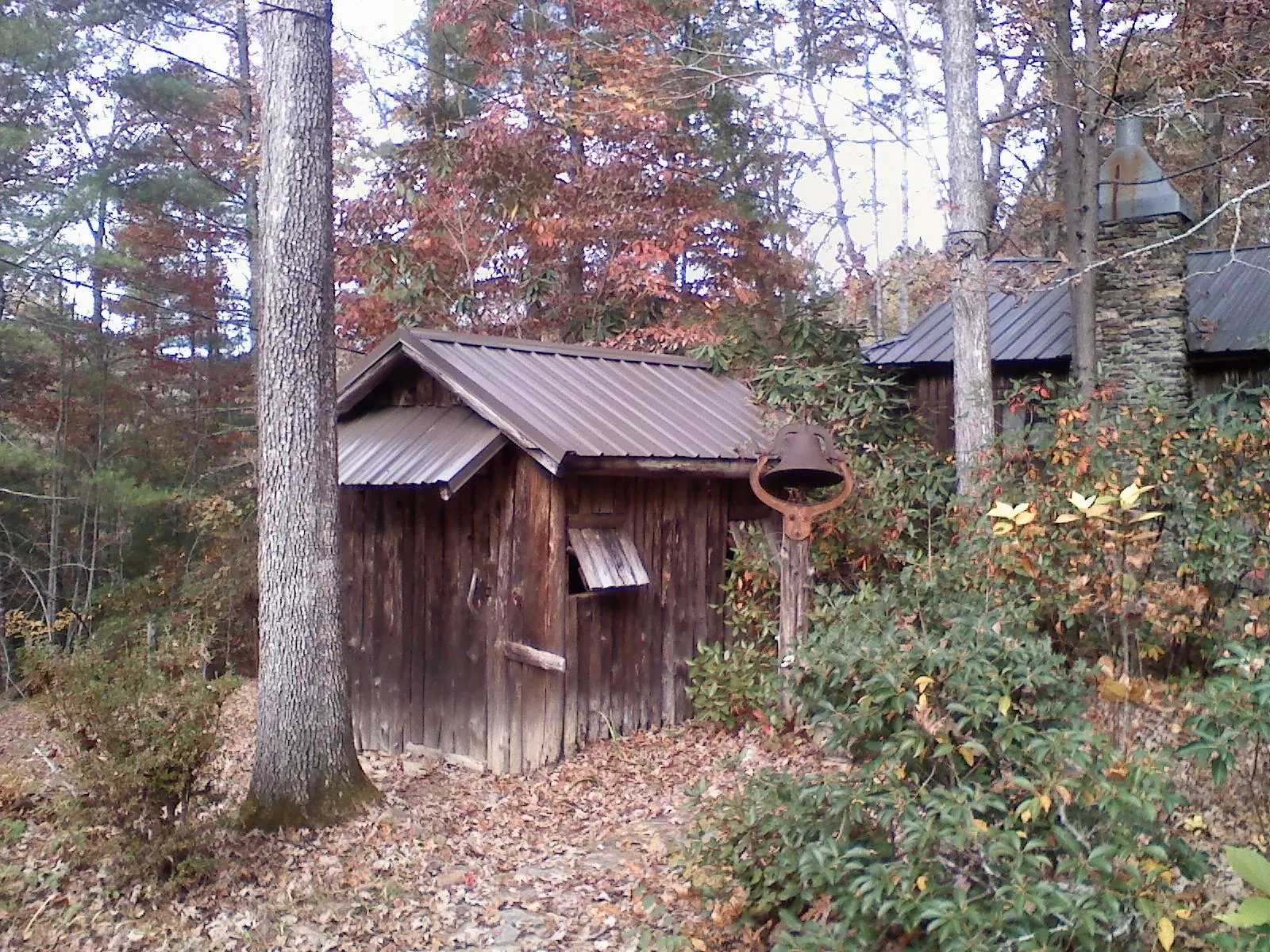 Small metal roof on a rough sawn shed in the woods in Cameron